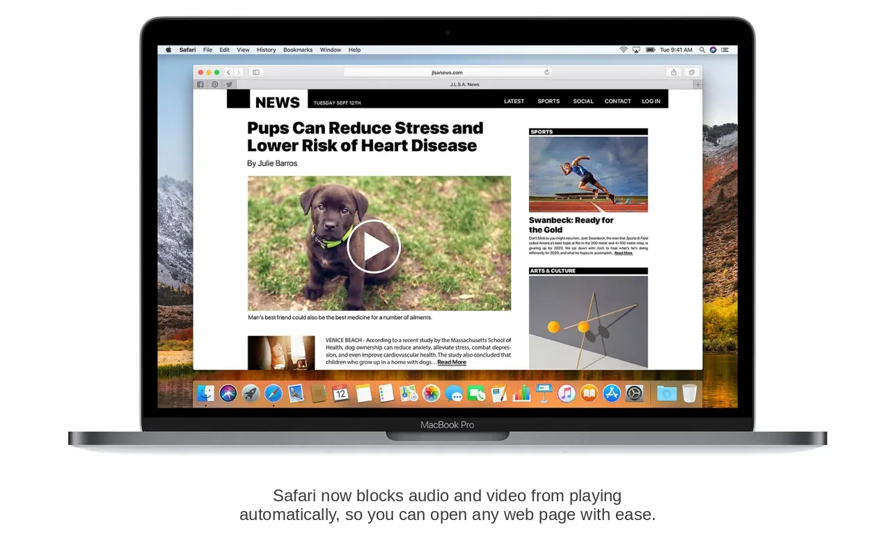 macOS High Sierra screenshot 2